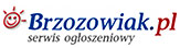 logo_brzozowiak
